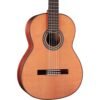 Cordoba C9 Nylon String Acoustic Guitar – Cedar