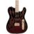 Fender Artist Series James Burton Telecaster Electric Guitar – Blue Paisley Flames
